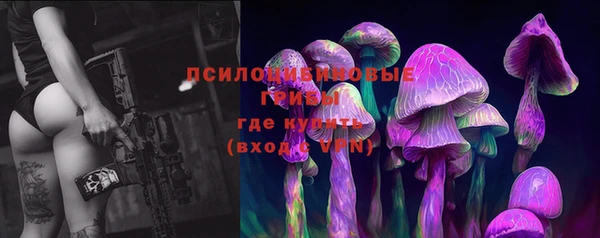а пвп мука Алзамай