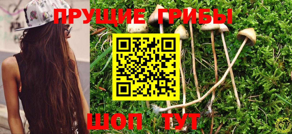 Тихвин  купить закладку  Вход с VPN  Псилоцибиновые грибы прущие грибы 