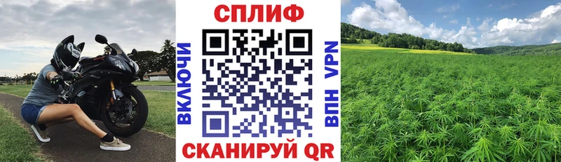 Шишки марихуана THC 21% kraken ONION Тихвин
